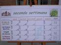 Grest_29-6 152